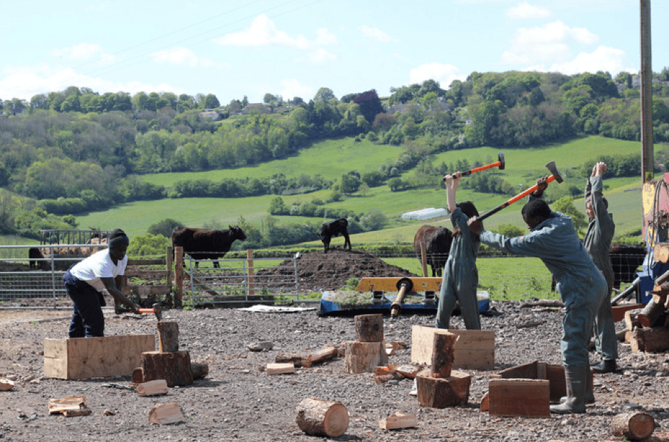 Jamie's Farm The Rumi Foundation